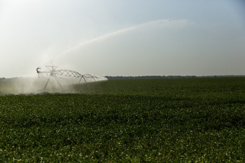 Irrigation equipment spraying water across a large farm field.