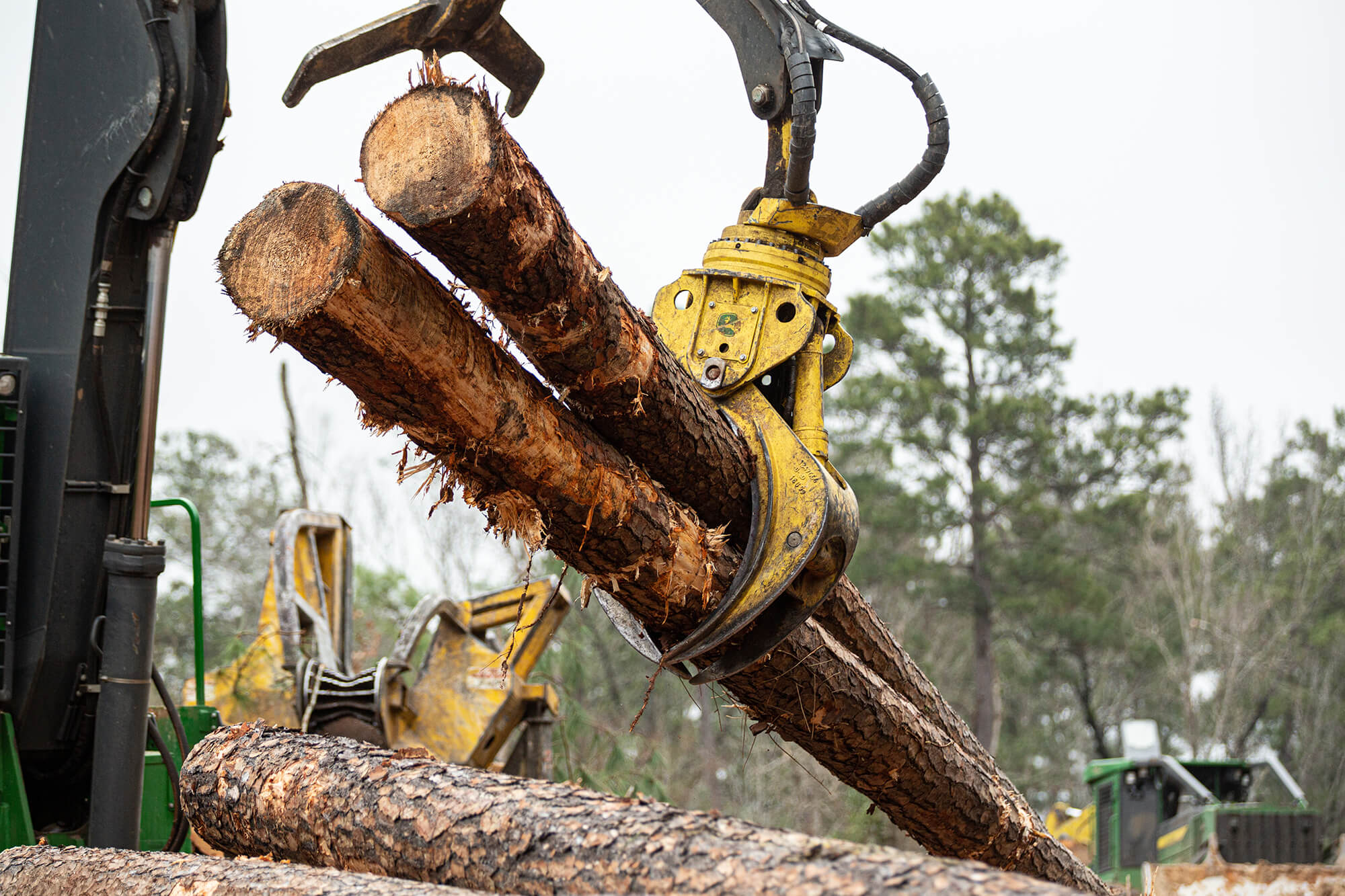 what-to-look-for-in-a-timber-tract-timber-loans-southern-agcredit