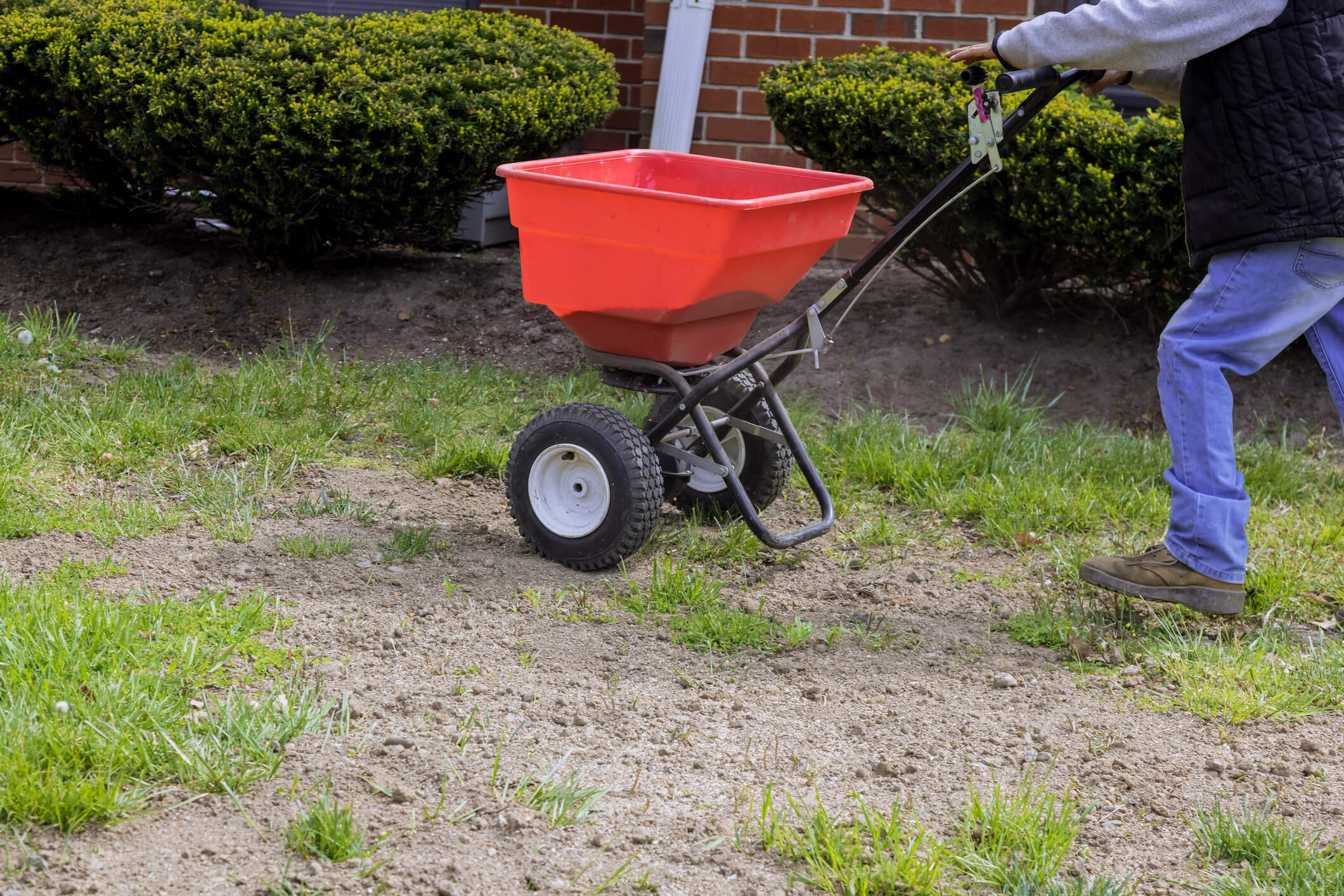 Growing Healthy Lawns: Turf Management in Louisiana and Mississippi