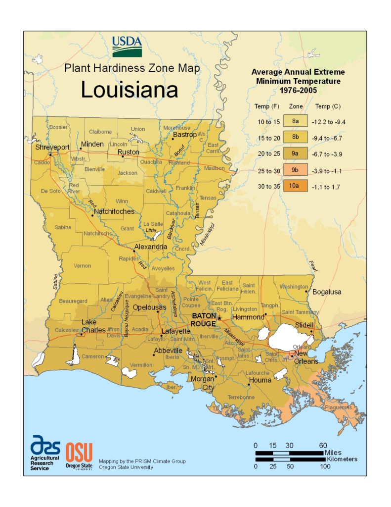 Plant hardiness zone map - Louisiana.