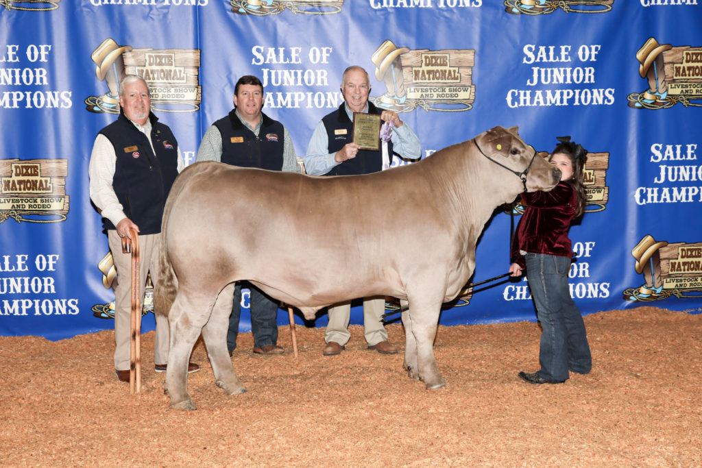 dixie national sale of junior champions