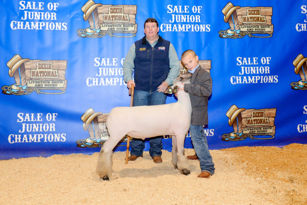 dixie national sale of junior champions